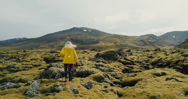 Вид с воздуха на двух женщин, идущих по лавовому полю в Исландии, исследующих территорию. Туристы наслаждаются пейзажем . — стоковое видео