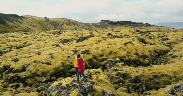 Luchtfoto van toeristen vrouw stond op de rots op lava veld in IJsland. Vrouwelijke gebruik de smartphone in de natuur. — Stockvideo