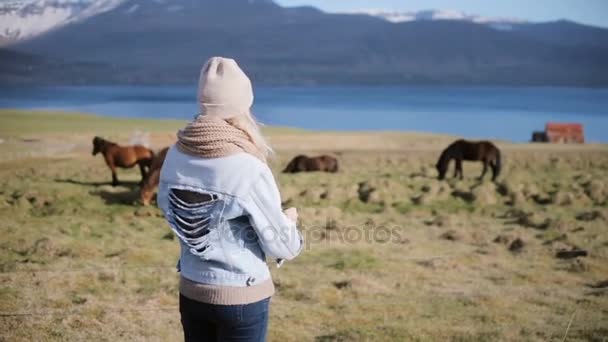 Vue arrière de la jeune femme élégante debout sur la nature et regardant le cheval islandais pâturage sur un champ . — Video