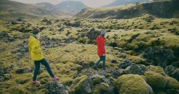 Вид с воздуха на женщину, идущую по лавовому полю в Исландии вместе. Туристы трогают мох. . — стоковое видео