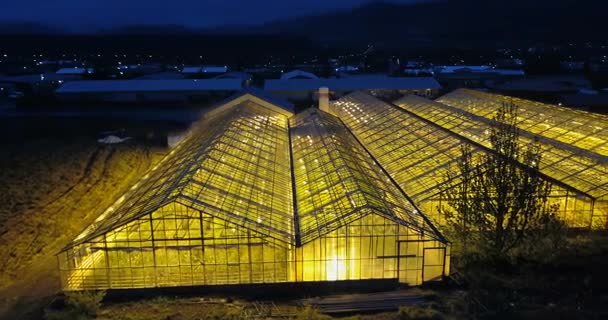 Copter flying over the green house with light inside in night. Aerial view of the garden. Agriculture farm in a field. — Stock Video