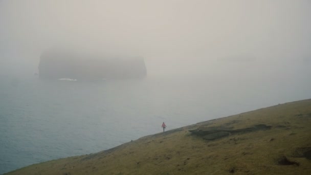 Joven viajero caminando en la orilla del mar en la niebla y explorar la playa en día nublado en iceland cerca vestmannaeyjar — Vídeos de Stock