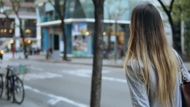 Vista posterior de la joven hermosa mujer con bolsa caminando en la calle. La mujer va a trabajar. Movimiento lento . — Vídeos de Stock