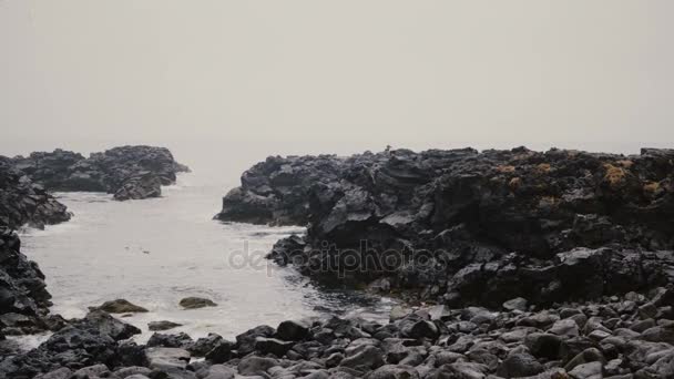 Młody człowiek idąc przez skały na brzegu morza. Mężczyzna w lopapeysa zwiedzania czarnej plaży sam. — Wideo stockowe