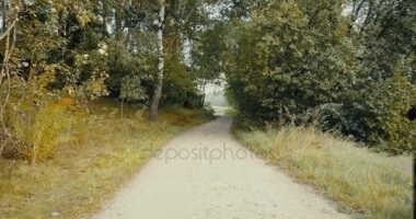 Bir orman yol açılışına çalışan sporcu. Drone arkadan görünüm. Sessiz sonbahar kırsal yol zevk sprinter.