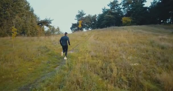 Auf einem kleinen Pfad geht es bergauf in den Wald. Drohnen-Rückansicht. Junge Ausdauerathletin läuft Crosslauf. — Stockvideo