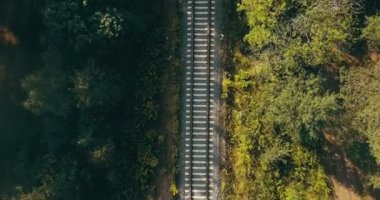 Trenin hava görünümünü sonbahar ormanda izler. Zorlu yaşam yolculuğu kavramı, yolu geleceğe hayaller peşinde.