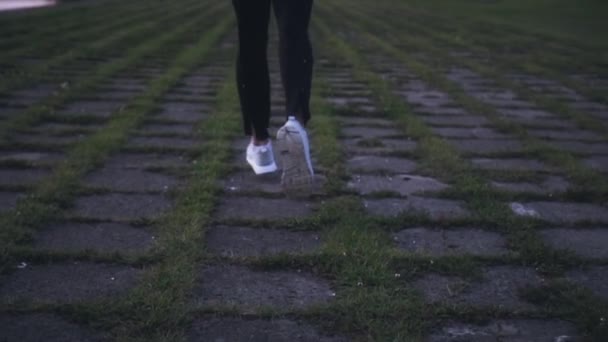 Movimento lento correndo em azulejos de grama para a cidade. Vista traseira. Fotografia de fundo abstrata. Conceito de perseguir objetivos de vida . — Vídeo de Stock