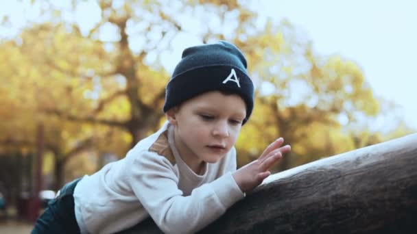 Preschool Caucasian boy having fun on playground. Confused nervous child in hat stuck on high ropes course obstacle. — Stock Video