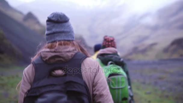 Vista trasera. Grupo de jóvenes haciendo senderismo en la montaña temprano en la mañana. Viajeros subiendo juntos . — Vídeo de stock