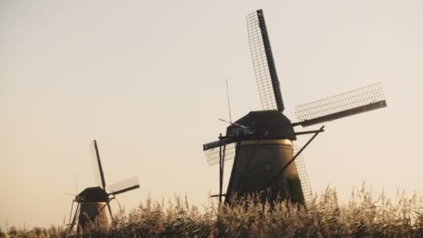 4k. 在田野里, 两个田园诗般的荷兰乡村风车。荷兰。令人惊叹的宁静与微风和晴朗的天空. — 图库视频影像