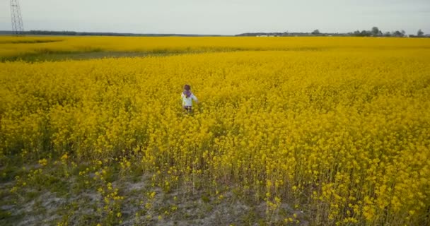 Ragazzina felice nel campo dello stupro giallo in fiore. Bambino caucasico che gioca nel campo di colza matura. Drone vista aerea 4K . — Video Stock