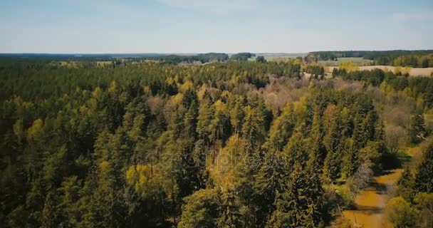Drone antenn skott av tidiga våren vild skog. 4 k flyover bild av soliga blandade skogsträd, liten flod landsbygden. — Stockvideo
