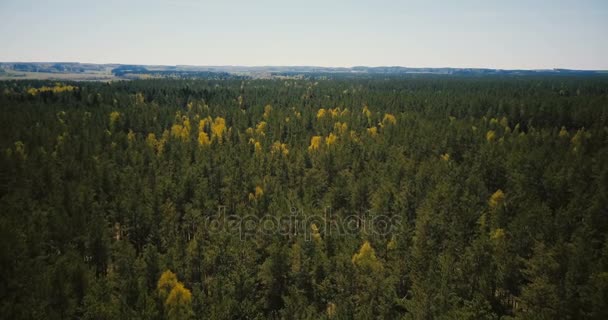 Drone volando sobre una increíble vista panorámica del bosque. Aerial 4K aves ojo disparo de exuberantes copas de árboles de primavera y claro valle del horizonte — Vídeos de Stock