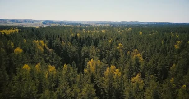 Drone volando rápido sobre hermosas vistas panorámicas del bosque. Aerial 4K fantástico plano de fondo de árboles y horizonte de apertura . — Vídeo de stock