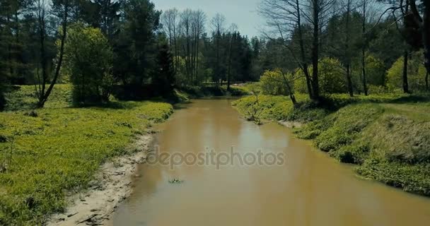 Il sorvolo del drone e 'stato sparato sopra il flusso sporco primaverile. Vista aerea punto di vista prospettiva 4K. Bella primavera lungo il fiume selvaggio . — Video Stock