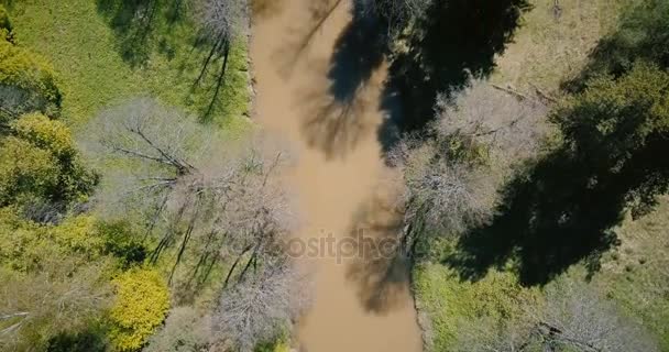 Drone voando perto acima do início da primavera rio lamacento. Vista vertical 4K aérea bela natureza quente e ensolarada da primavera . — Vídeo de Stock