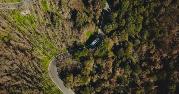 Drone mavi otobüs dağ yolda sürüş izler. Bir çok dar orman driveway hava görünümünü. Seyahat ve Turizm. 4k — Stok video