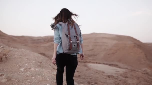 Γυναίκα περπατά κοντά στο φαράγγι της ερήμου. Αργή κίνηση. Νεαρή γυναίκα περιφέρεται κοντά καθαρή πτώση άκρη. Βράχοι και πέτρες. Ισραήλ. Ελευθερία — Αρχείο Βίντεο