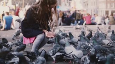 Besleme Birds elinden sevimli Avrupa kız. Ağır çekim. Güvercin büyük sürü tohum yakalamak. Mutlu küçük erkek çocuk.