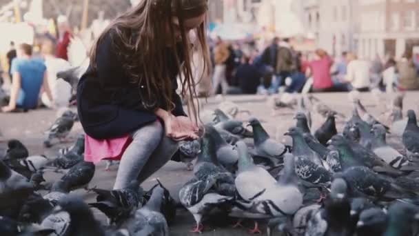 Cute European girl feeding birds from hands. Slow motion. Big flock of pigeons catch seed. Happy little female kid. — Stock Video