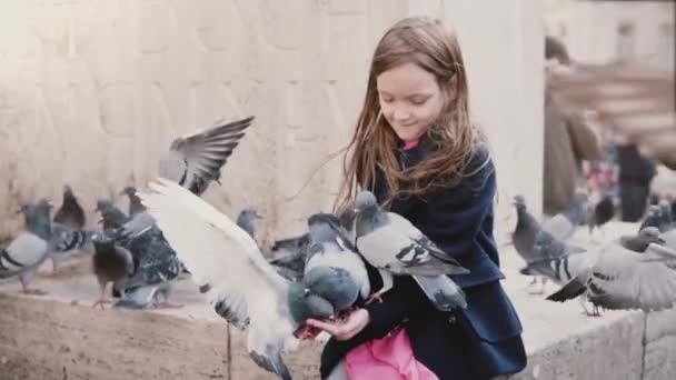 Several pigeons eat from little girls hands. Slow motion. Happy female kid feeding city birds on her arms. Kindness. — Stock Video