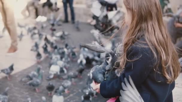Ptáci se snaží jíst malé dívky rukou. Zpomalený pohyb. Dítě krmení dva holubi na ruce, hejna na pozadí. — Stock video