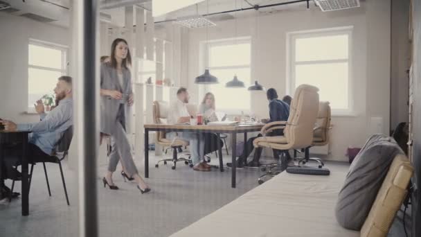 Dolly toma de casual multiétnico millennial personas disfrutando de trabajar juntos en saludable ambiente de oficina de trabajo 4K . — Vídeos de Stock