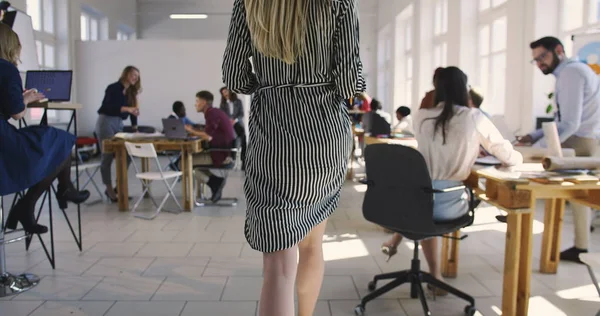A kamera követi a sikeres szőke női vezetőt, motiválva a többnemzetiségű alkalmazottakat a tetőtéri divatos irodában. Egészséges munkahelyek — Stock Fotó