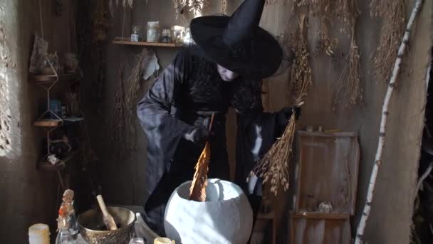 Halloween witch preparing potion in the boiler — Stock Video