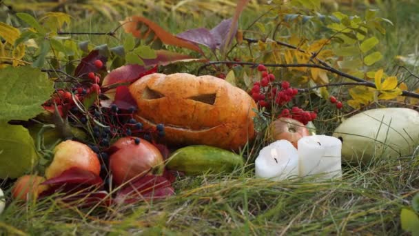 Naturaleza muerta con calabaza para Halloween — Vídeo de stock