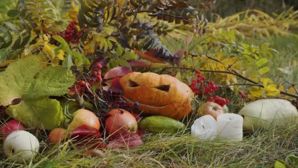 Naturaleza muerta con calabaza para Halloween — Vídeo de stock