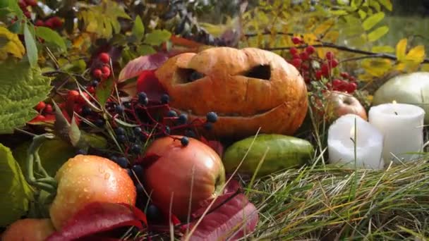 Natura morta con zucca per Halloween — Video Stock