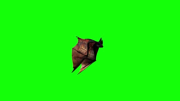 Zwarte Halloween Vleermuis Langzaam Vliegen Groen Schermachtergrond — Stockvideo