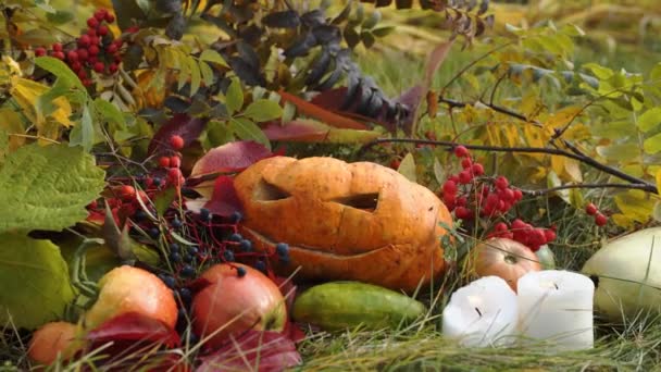 Snidade Halloween Pumpa Omgiven Festliga Dekorationer Och Färgglada Bladverk Dagsljus — Stockvideo
