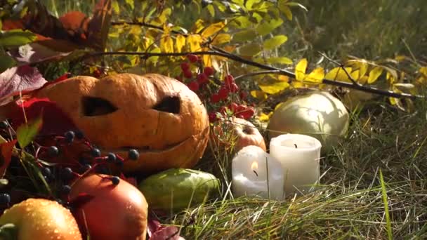 Snidade Halloween Pumpa Omgiven Festliga Dekorationer Och Färgglada Bladverk — Stockvideo