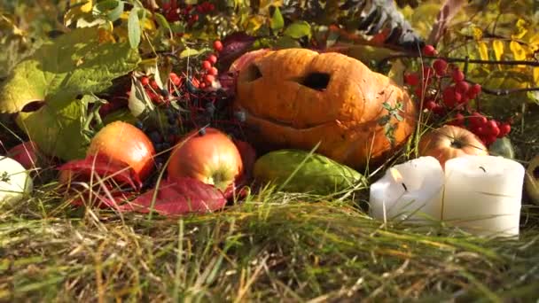 Abóbora Halloween Esculpida Cercada Por Decorações Festivas Folhagem Colorida — Vídeo de Stock