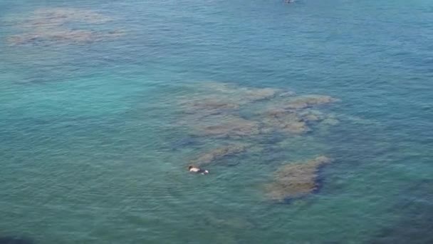Καταπληκτική Θέα Άνθρωπος Δεν Κολύμβηση Καθαρό Νερό Ωκεανού Βράχους Και — Αρχείο Βίντεο
