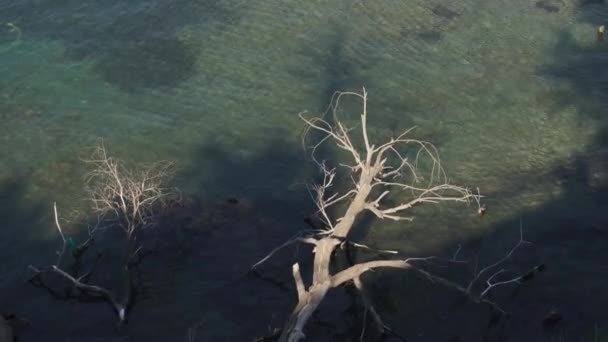 Belo Mar Grécia Fundo — Vídeo de Stock