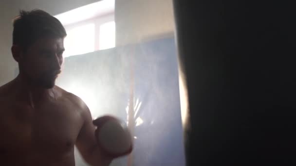 ハンサムな男の赤いボクシング グローブ ボクシング — ストック動画