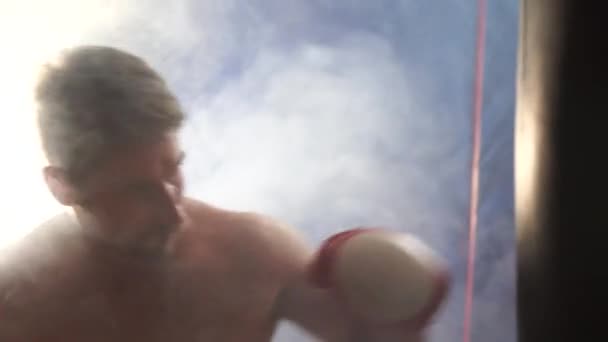 Pohledný Muž Červenými Boxerské Rukavice — Stock video