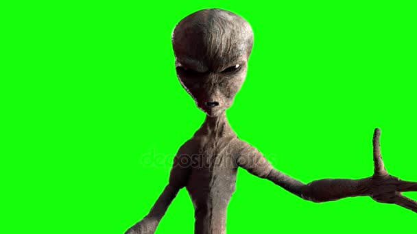 Grijs alien 3d animatie op groene achtergrond — Stockvideo