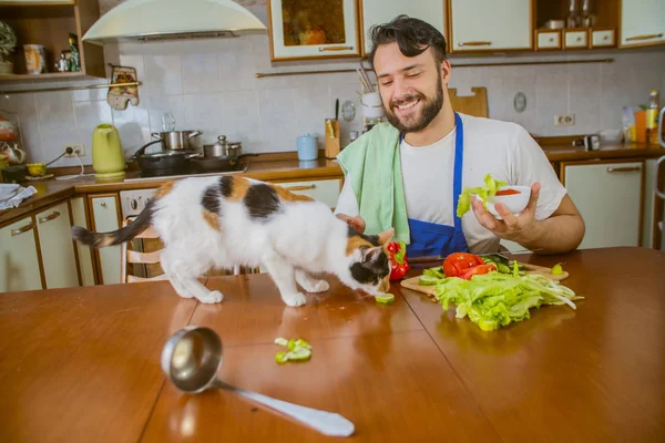 Un hombre cocina en la cocina a su lado se sienta un divertido hermoso gato — Foto de Stock