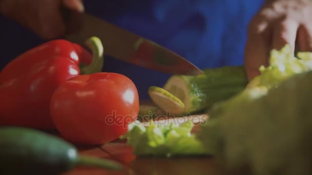 Hände des Küchenchefs schneiden die Gurke mit einem Messer — Stockvideo