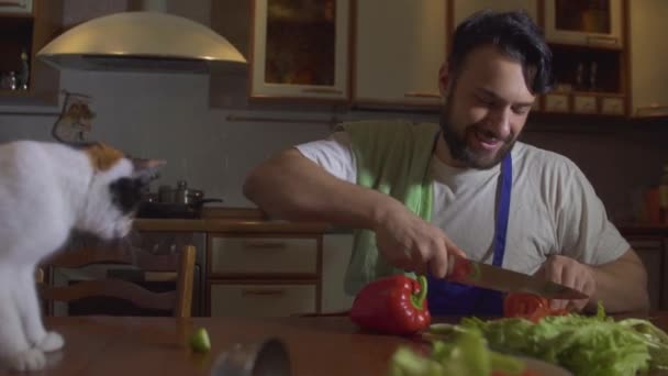 Чоловік готує на кухні біля нього сидить кумедний красивий кіт — стокове відео