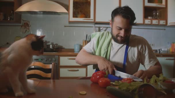 Мужчина готовит на кухне рядом с ним сидит веселая красивая кошка — стоковое видео