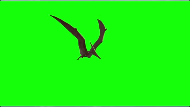 Flying dinosaur 3d render  on a green background Royalty Free Stock Video