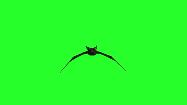 Nocturnal bats 3D render — Stock Video