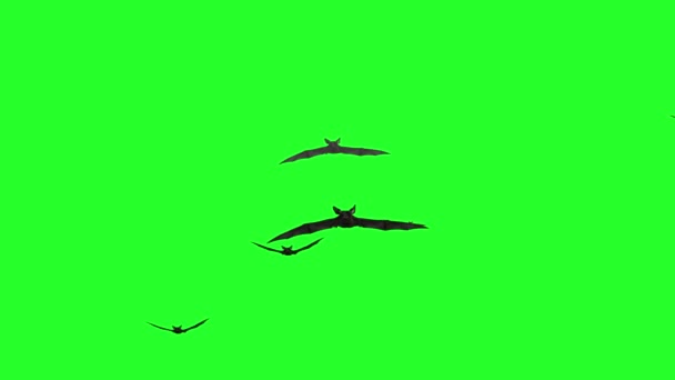 Стая летучих мышей на зеленом фоне 3D рендеринг — стоковое видео
