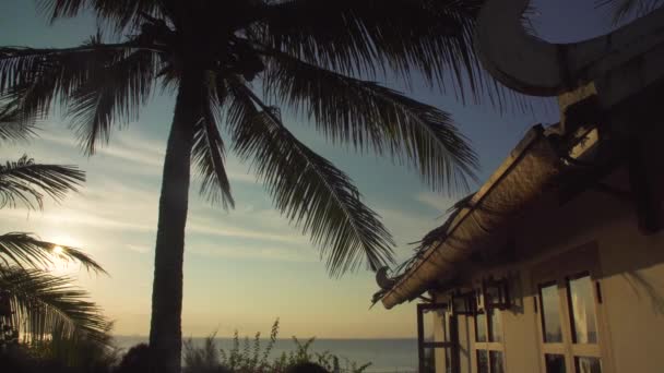 Φοίνικες Στο Ηλιοβασίλεμα Και Θάλασσα Στο Βιετνάμ — Αρχείο Βίντεο